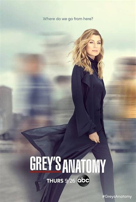Grey's Anatomy: Season 16 .